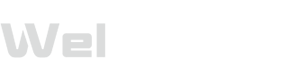 ウェルシスプラス